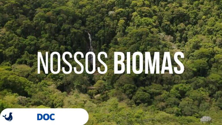 Nossos Biomas