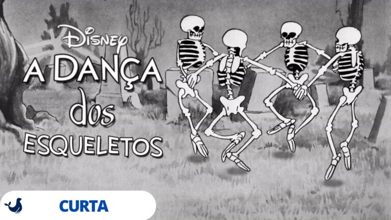 Foca Play arte